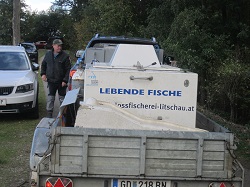 Container mit Fischen